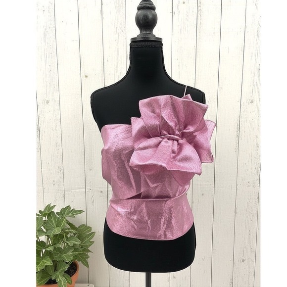 NWT Hutch Tessa‎ Pink Metallic Bow Corset Top Style 2475 Size S - Picture 2 of 7